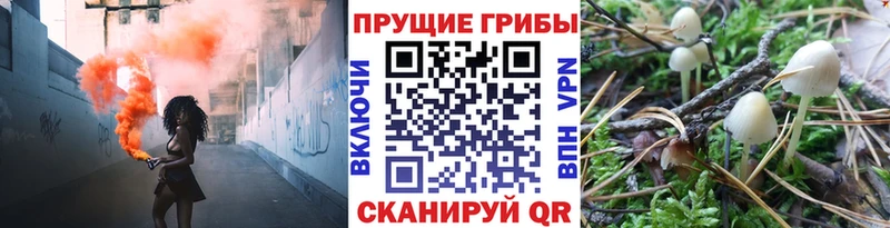 Галлюциногенные грибы Cubensis  Лагань 